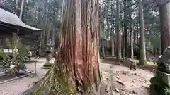 室生龍穴神社(奈良県)