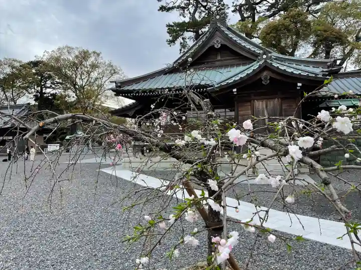 焼津神社の自然