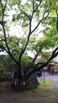 沖館稲荷神社(青森県)