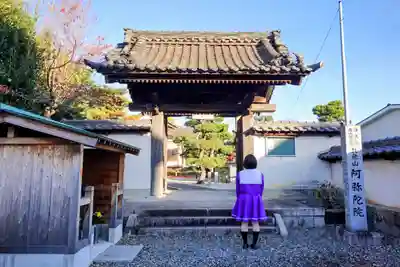 阿弥陀院の山門・神門