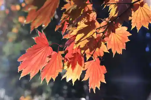 山神社の庭園