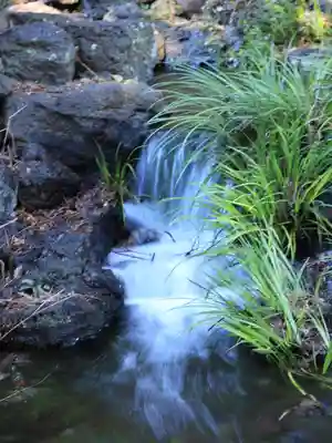 富士山本宮浅間大社(静岡県)