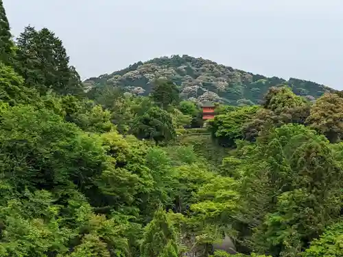 清水寺(京都府)