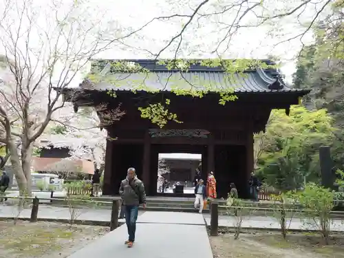 妙本寺の山門・神門