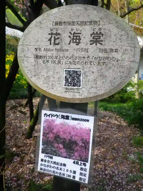 光則寺のその他建物