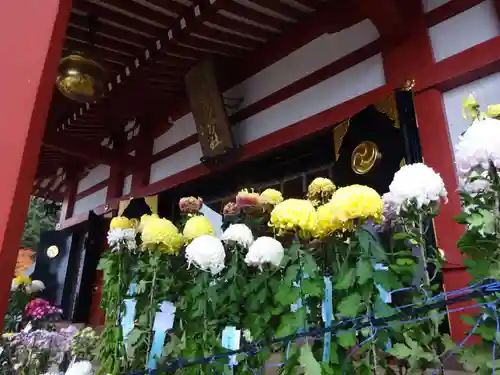 大山阿夫利神社の本殿・本堂