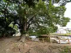 山王神社(奈良県)