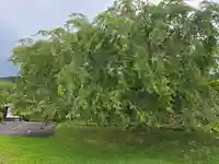 泰門庵(滋賀県)