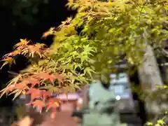 山家神社の自然