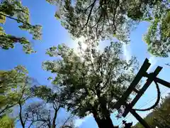 白鳥神社(長野県)