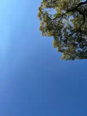 八雲神社(緑町)(栃木県)
