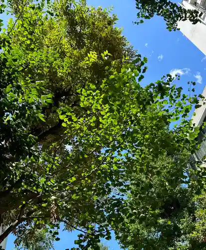 銀杏岡八幡神社(東京都)