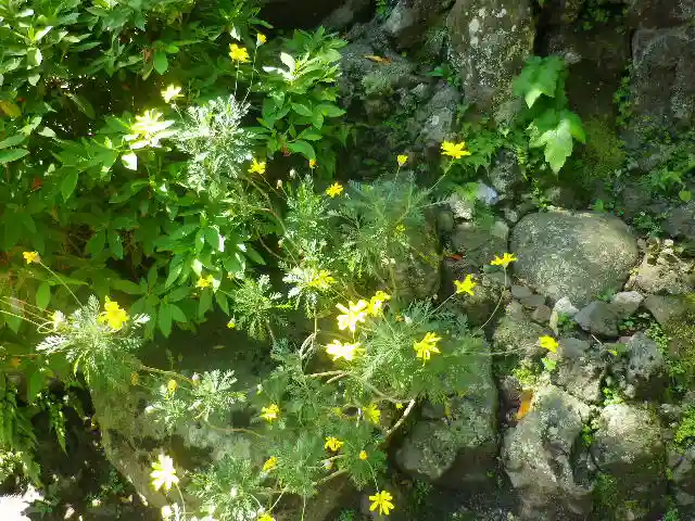 御霊神社の自然