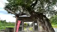 龍護寺の山門・神門