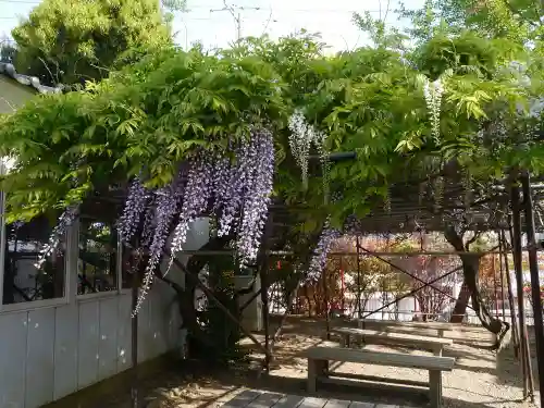 水戸東照宮の庭園