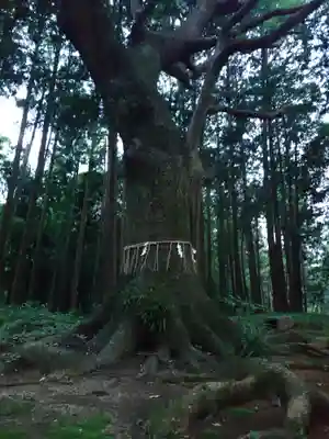 六嶽神社(下社)(福岡県)