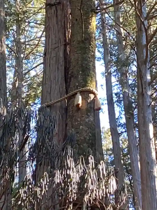三峯神社の{uncategorized: "未分類", other: "その他", undefined: "問題あり", building: "その他建物", grave: "お墓", sacred_gate: "鳥居", guardian: "狛犬", statue: "像", buddha: "仏像", history: "歴史", nature: "自然", garden: "庭園", animal: "動物", pagoda: "塔", temizu: "手水舎", mountain_gate: "山門・神門", sanctuary: "本殿・本堂", subordinate: "末社・摂社", art: "芸術", scenery: "景色", jizo: "地蔵", ema: "絵馬", goshuin: "御朱印", omikuji: "おみくじ", items: "授与品その他", amulet: "お守り", goshuincho: "御朱印帳", eats: "食事", festival: "お祭り", votive_dance: "神楽", shichigosan: "七五三参", wedding: "結婚式", experience: "体験その他", initially: "初詣", around: "周辺", anti_infection: "感染症対策"}