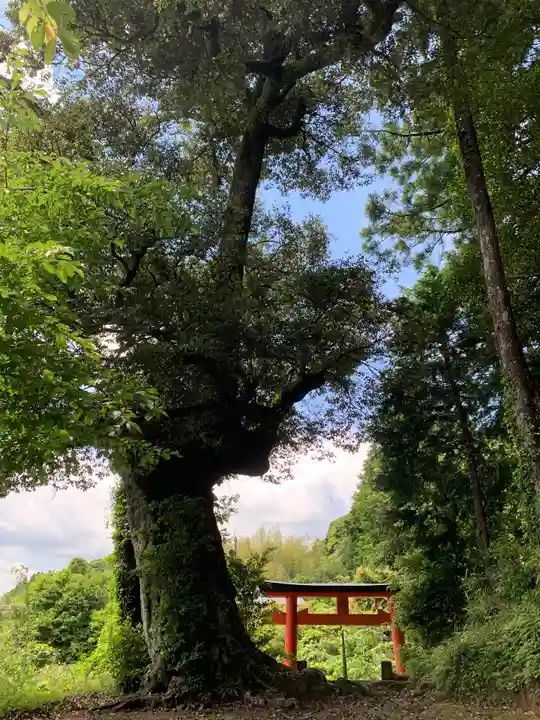 日枝神社のその他建物