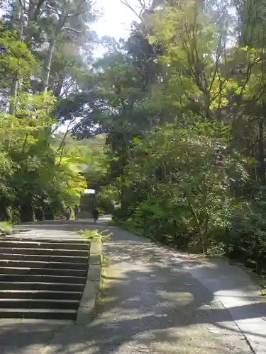 妙本寺の庭園