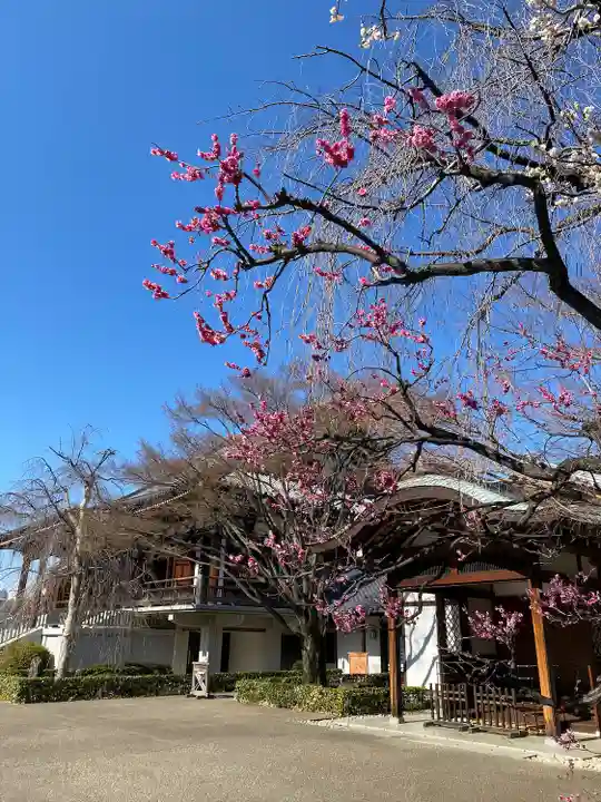 伝通院(東京都)