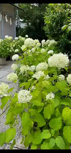 坐摩神社(大阪府)