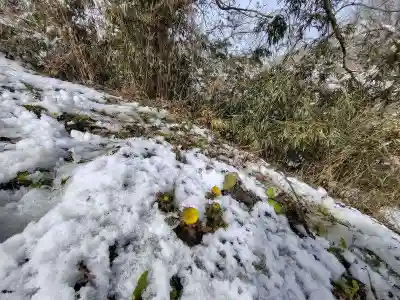 正観音堂(福島県)