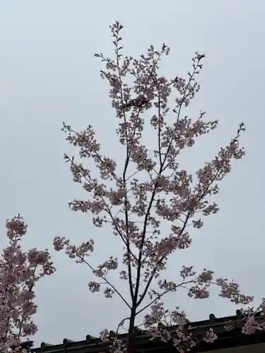 豊国神社の自然