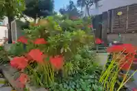 圓光寺(愛媛県)