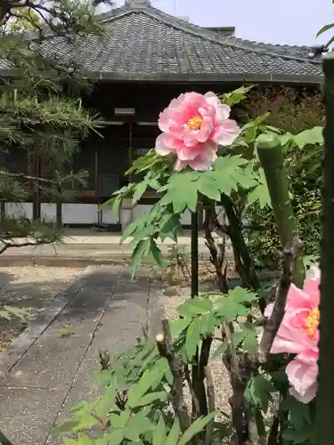 慈眼寺の本殿