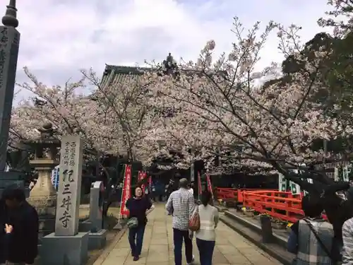 金剛宝寺（紀三井寺）の自然