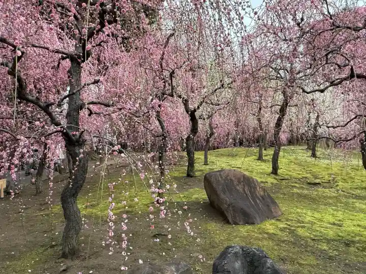 城南宮(京都府)