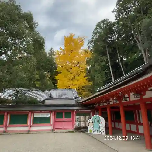 石上神宮(奈良県)