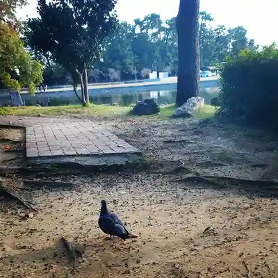 秋葉神社のその他建物