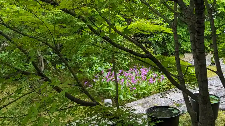 勝林寺(京都府)
