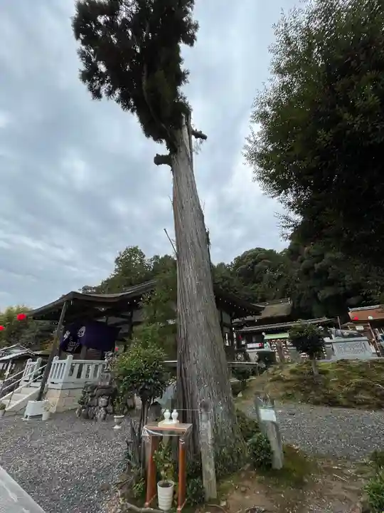 大野神社(滋賀県)