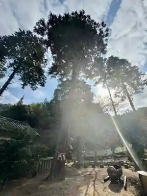 早瀧比咩神社(岡山県)