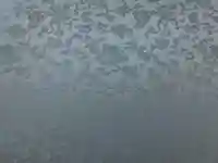 赤堂観音の御朱印帳