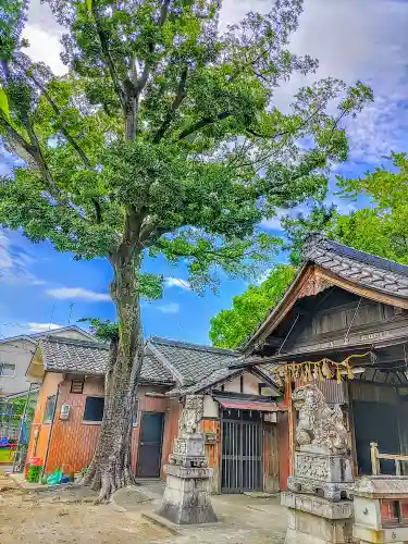 深島神社（柳原）の自然