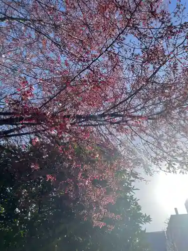 笠間稲荷神社 東京別社の{uncategorized: "未分類", other: "その他", undefined: "問題あり", building: "その他建物", grave: "お墓", sacred_gate: "鳥居", guardian: "狛犬", statue: "像", buddha: "仏像", history: "歴史", nature: "自然", garden: "庭園", animal: "動物", pagoda: "塔", temizu: "手水舎", mountain_gate: "山門・神門", sanctuary: "本殿・本堂", subordinate: "末社・摂社", art: "芸術", scenery: "景色", jizo: "地蔵", ema: "絵馬", goshuin: "御朱印", omikuji: "おみくじ", items: "授与品その他", amulet: "お守り", goshuincho: "御朱印帳", eats: "食事", festival: "お祭り", votive_dance: "神楽", shichigosan: "七五三参", wedding: "結婚式", experience: "体験その他", initially: "初詣", around: "周辺", anti_infection: "感染症対策"}