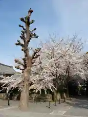 宝仙寺の自然