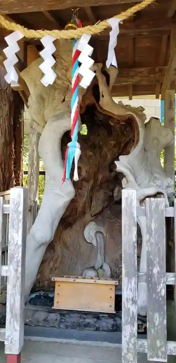 金蛇水神社のその他建物