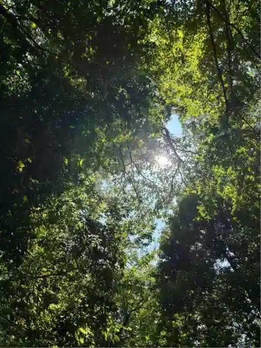 サムハラ神社 奥の宮(岡山県)