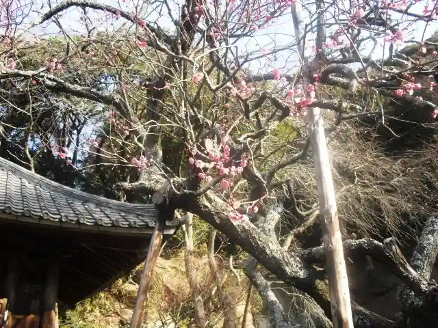 瑞泉寺のその他建物