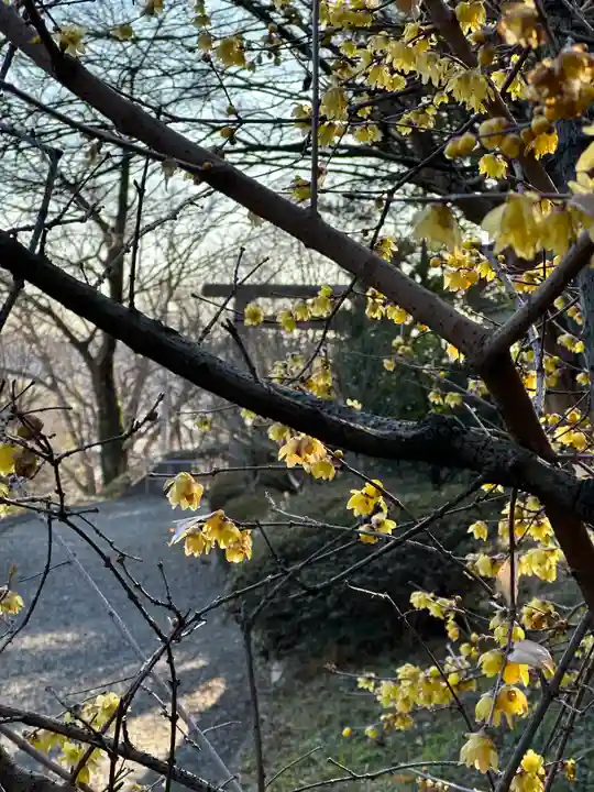 群馬県護国神社(群馬県)