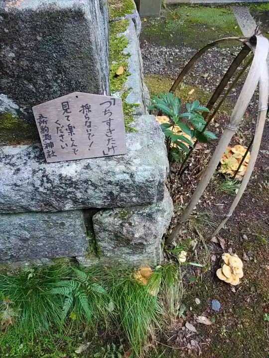 五所駒瀧神社(茨城県)