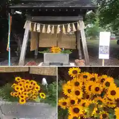 錦山天満宮の手水