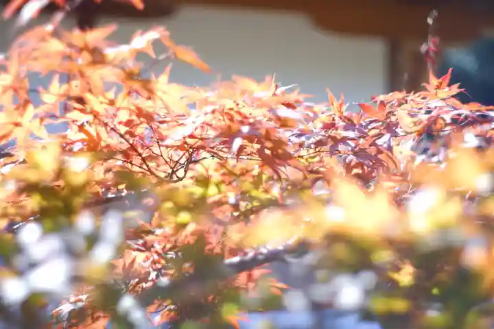 龍田大社(奈良県)