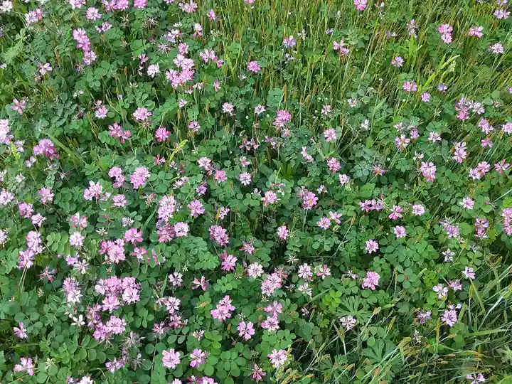 城山稲荷神社の周辺