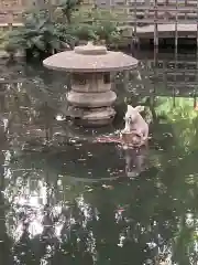 調神社(埼玉県)