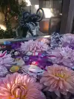 蛇窪神社の手水舎